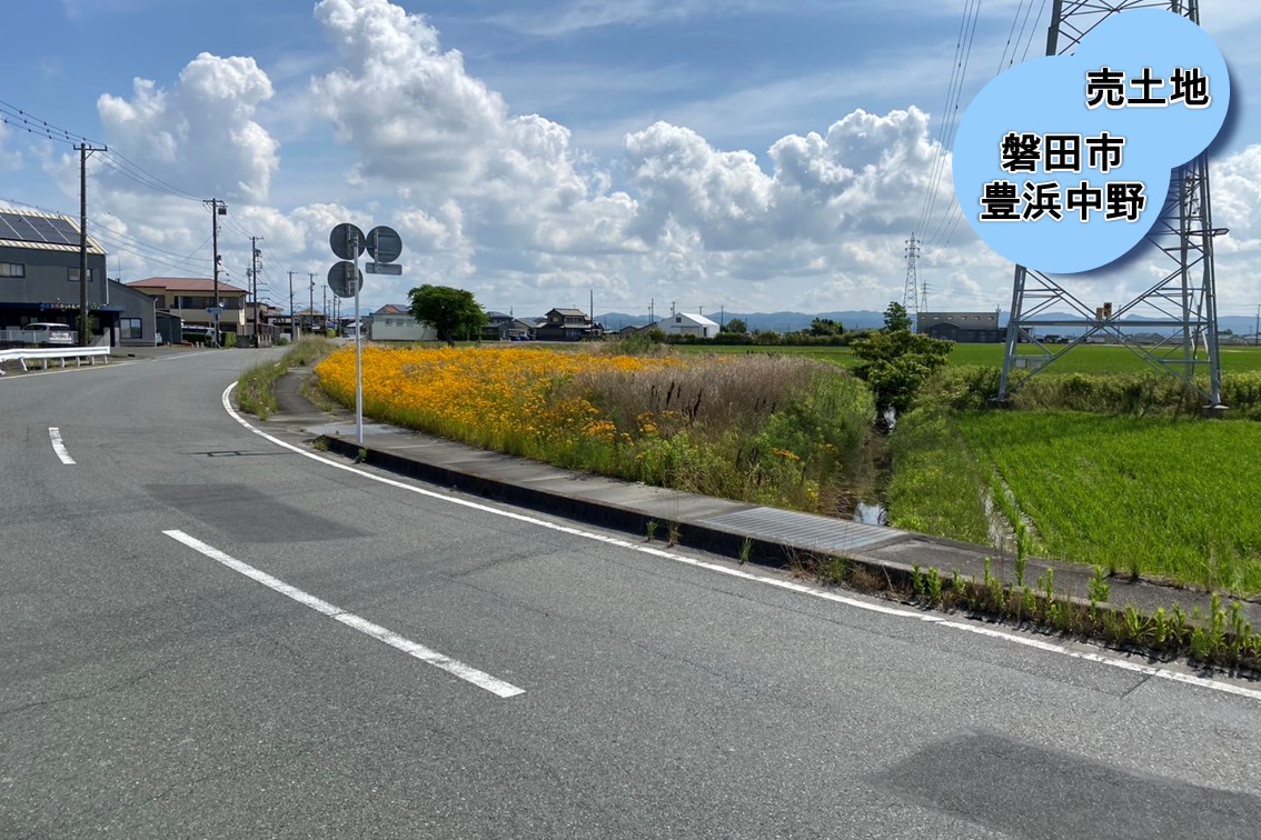 【売土地】磐田市豊浜中野　100万円